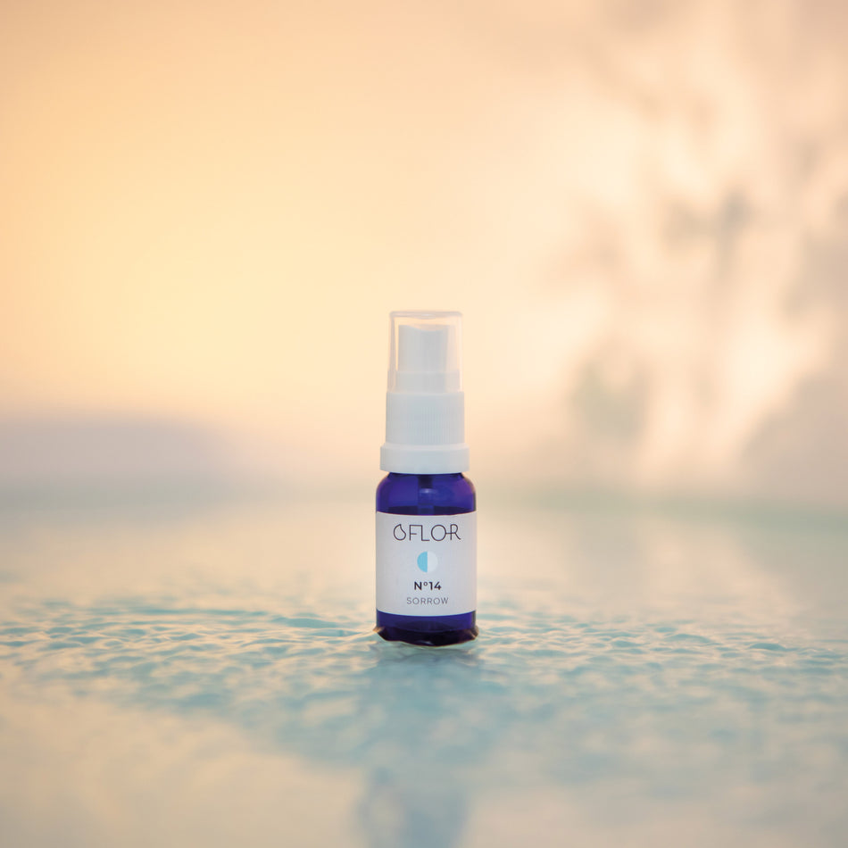 O'Flor n°14 Sorrow